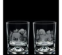 Glyptic Glass Art Bichon Frise Dog Whiskey Tumbler Glass - Hand Etched/Engraved Gift - Right
