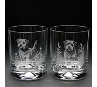 Glyptic Glass Art Norfolk Terrier Dog Whiskey Tumbler Glass - Hand Etched/Engraved Gift - Pair