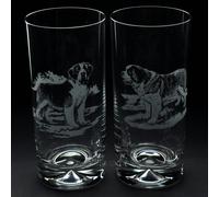 Glyptic Glass Art St. Bernard Dog Highball Glass - Hand Etched/Engraved Gift - Pair