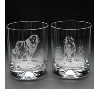 Glyptic Glass Art St. Bernard Dog Whiskey Tumbler Glass - Hand Etched/Engraved Gift - Left
