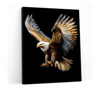 Glyzaen Flying Eagle Canvas Wall Art, 12 x 16 Inch | Framed HD canvas print with pine wood frame and black background for bedroom, living room or office