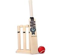 GM MINI CRICKET GAME