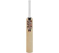 Gm Rival 101 Kashmir Willow Cricket Bat Kids