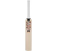 GM | Rival | Miniature Wooden Souvenir Mini Cricket Bat | Perfect for Player Autographs | 25 x 5.5 cm Face Area | 13 x 2.2 cm Handle | Gunn & Moore