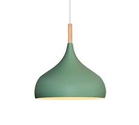 GMJGCIRVC Chandelier Restaurant Ceiling Light Shade Led Single Head Hollow Pendant Lamp Kitchen Island Hanging Lights Household European Chandelier for Living Room