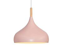 GMJGCIRVC Chandelier Restaurant Ceiling Light Shade Led Single Head Hollow Pendant Lamp Kitchen Island Hanging Lights Household European Chandelier for Living Room