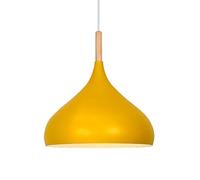 GMJGCIRVC Chandelier Restaurant Ceiling Light Shade Led Single Head Hollow Pendant Lamp Kitchen Island Hanging Lights Household European Chandelier for Living Room