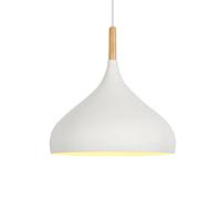 GMJGCIRVC Chandelier Restaurant Ceiling Light Shade Led Single Head Hollow Pendant Lamp Kitchen Island Hanging Lights Household European Chandelier for Living Room