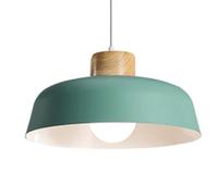 GMJGCIRVC Metal Hanging Lamp, Personalized Color Pendant Light Lampshade, E27screw Single-Head, Porch Bar Decoration Ceiling Lighting Fixtures