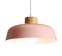 GMJGCIRVC Metal Hanging Lamp, Personalized Color Pendant Light Lampshade, E27screw Single-Head, Porch Bar Decoration Ceiling Lighting Fixtures