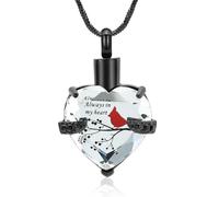 GMLRTOSPT Heart Shape Ash Urn Necklace Crystal Love Heart Cremation Pendant Always in My Heart Keepsake Jewelry-black clear