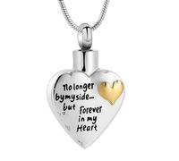 GMLRTOSPT No Longer by My Side,But Forever in My Heart Carved Locket Cremation Urn Necklace for Pet Dog Cats-Color 3