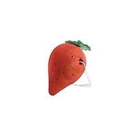 Gnaw T Strawb Chew Toy in Red
