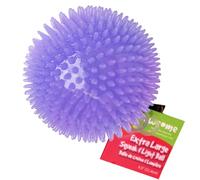Gnawsome 4.5” Spiky Squeak & Light Ball Dog Toy - Extra Large, Cleans teeth and Promotes Dental and Gum Health for Your Pet, Colors will vary, All Breed Sizes