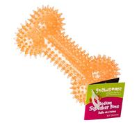Gnawsome Medium Squeaker Bone for Dogs