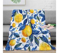 GNMRTFEAE 3D Lemons And Oranges Blanket Throw Soft Microfiber Throw Christmas Birthday Present Soft Warm Microfiber Bedding for Bed Couch 40x50inch(100x130cm)