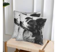 GNMRTFEAE 3D Printed Border Collie Throw Pillow Covers Pet Square Cushion Cover Garden Cushion Super Soft Pack of 2 for Patio,Couch, Tent, Balcony And Sofa 45x45cm