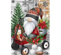 Gnome Heart Welcome Christmas DIY Cross Stitch Art Craft 16x20 inch Fabric with Accessories, 11ct Pre Printed Stamped Embroidery Kits for Adults Beginners (Red Green 1)