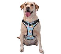 Gnome Pool Party Pattern Dog Harness - Lightweight,Soft,Adjustable Small Harness and Leash Set, Suitable for Puppy Small and Medium-Sized Dog-X-Large