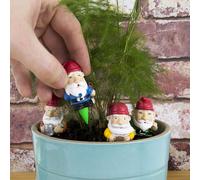 Plant Pot Gnomes