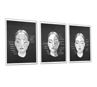 Gnosis Picture Archive Face Anatomy Chart of Facial Fat Pad, Muscles, Blood Vessels Set of 3 Art Unframed Prints Doctor Office Decor