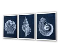 Gnosis Picture Archive Navy Blue Beach Decor Seashells Wall Art set of 3 Unframed Prints