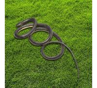 GNURBDILFO Snake on A String Prank Props with String and Clip Fake Snake Prank Props Realistic Rubber Snake for Teasing Friends