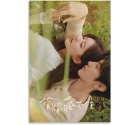 Gnvkd Ecbxz Chinese TV Drama Poster Hidden Love Canvas Painting Artwork Prints Zhao Lusi and Chen Zheyuan Modern Wall Art Home Decor Picture 50x70cm No Frame