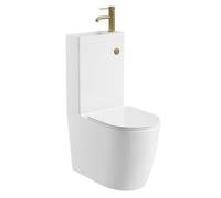 Go Bathrooms 2 in 1 Toilet & Sink Includes Gold Tap with Waste Cistern Button & Soft Close Toilet Seat Two Piece Ceramic Rimless Toilet & Basin Space Saver