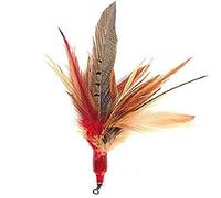 Go Cat Da Bird Da Wild Thing Accessory