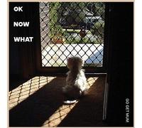 Go Get Mum - OK Now What (LP) [VINYL]