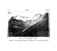 Go White Bronco - Life As a Monument [VINYL]