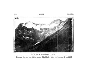 Go White Bronco - Life As a Monument [VINYL]