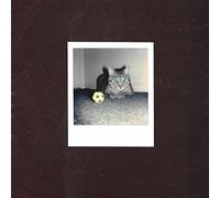 Goalie's Anxiety at the Penalty Kick - Run For Cover