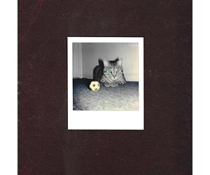 Goalie's Anxiety at the Penalty Kick - Run For Cover