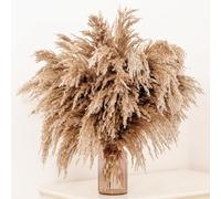 GOALS 20-Pcs Fluffy Pampas Grass 70cm Tall Brown Dry Boho Room Decor Natural Pampa Bouquet Wedding Fall Home Decoration (Brown, 70 cm Tall)