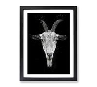 Goat Horns Modern Cb Framed Print | A2 Black Framed Wall Art | Ready to Hang | Modern Animal Picture | Living Room Bedroom Lounge Office
