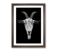 Goat Horns Modern Framed Print | A4 Walnut Framed Wall Art | Ready to Hang | Modern Animal Picture | Living Room Bedroom Lounge Office