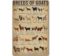 Goat Knowledge Metal Tin Signs Breeds Of Goats Learning Print Poster Library School Education Living Room Kitchen Bathroom Home Art Wall Decoration Plaque Gift 8inchx12inch
