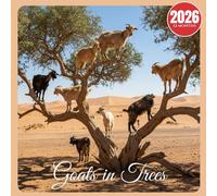 Goats in Trees 2026 Calendar