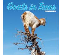 Goats in Trees 2026 Calendar