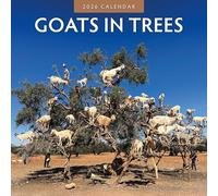 Goats In Trees - 2026 Square Wall Calendar - by Red Robin Publishing