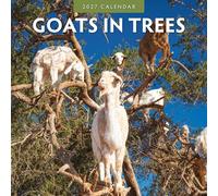 Goats In Trees - 2027 Square Wall Calendar - by Red Robin Publishing