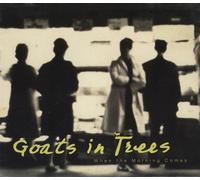 Goats In Trees - Banda Pokemon Kids Finger Puppet Mini Figure Endynalos version~ #9 Heracross