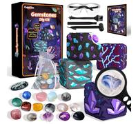 GobiDex Gemstone Dig Kit for Kids - Dig Up 16 Real Gems & Crystals, Excavation Science Toy, Crystal Gift for Boys and Girls Ages 6+