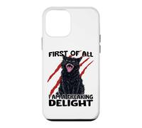 Goblin cat black cat sarcasm zoomies chaos cat Case for iPhone 12 mini