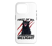 Goblin cat black cat sarcasm zoomies chaos cat Case for iPhone 16 Pro