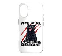 Goblin cat black cat sarcasm zoomies chaos cat Case for iPhone 17
