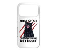 Goblin cat black cat sarcasm zoomies chaos cat Case for iPhone 17 Pro