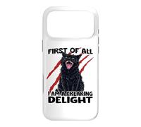 Goblin cat black cat sarcasm zoomies chaos cat Case for iPhone 17 Pro Max